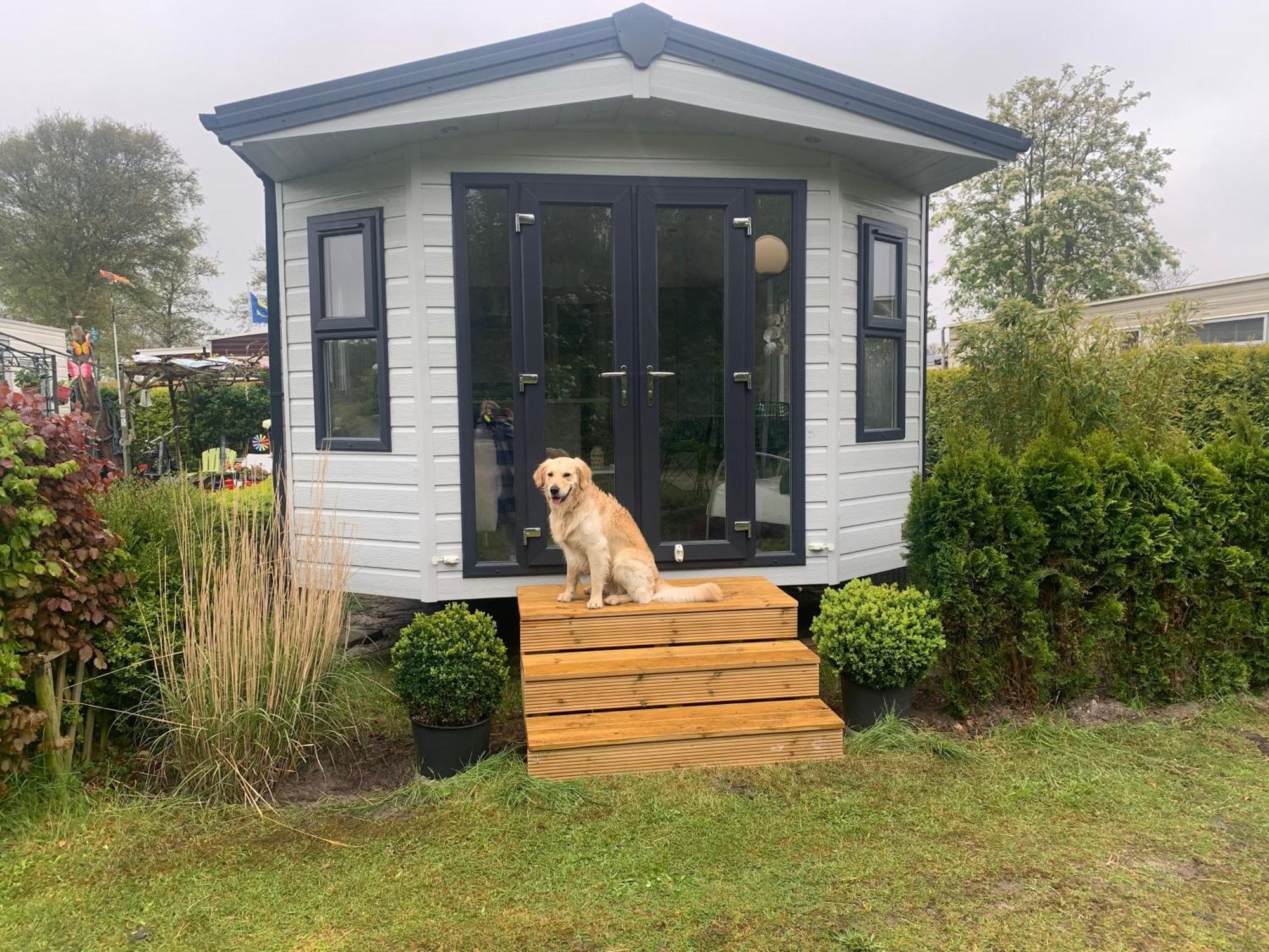 Natur pur, neues Ferienhaus O4 natureingebunden, Familien- und hundefreundlich eingezäunt Callantsoog Exterior foto